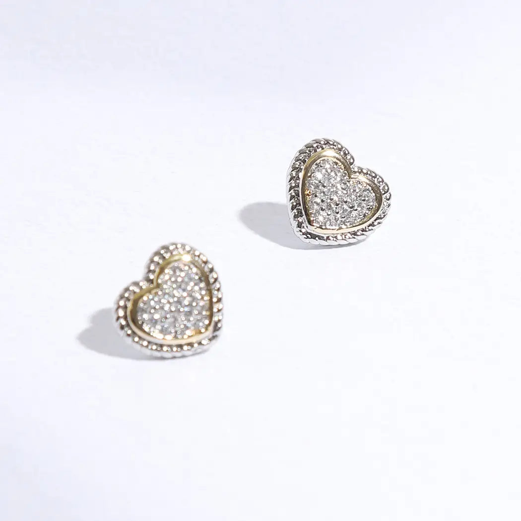 Roped Lining Heart Earrings