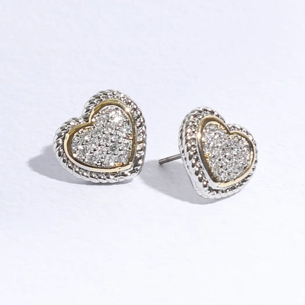 Roped Lining Heart Earrings