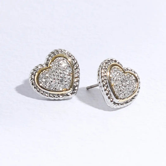 Roped Lining Heart Earrings