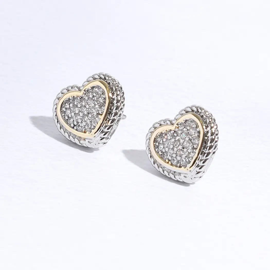 Roped Lining Heart Earrings